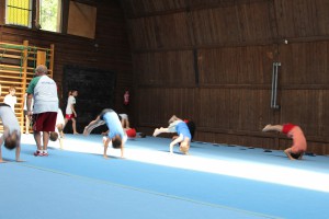 IMG 0263